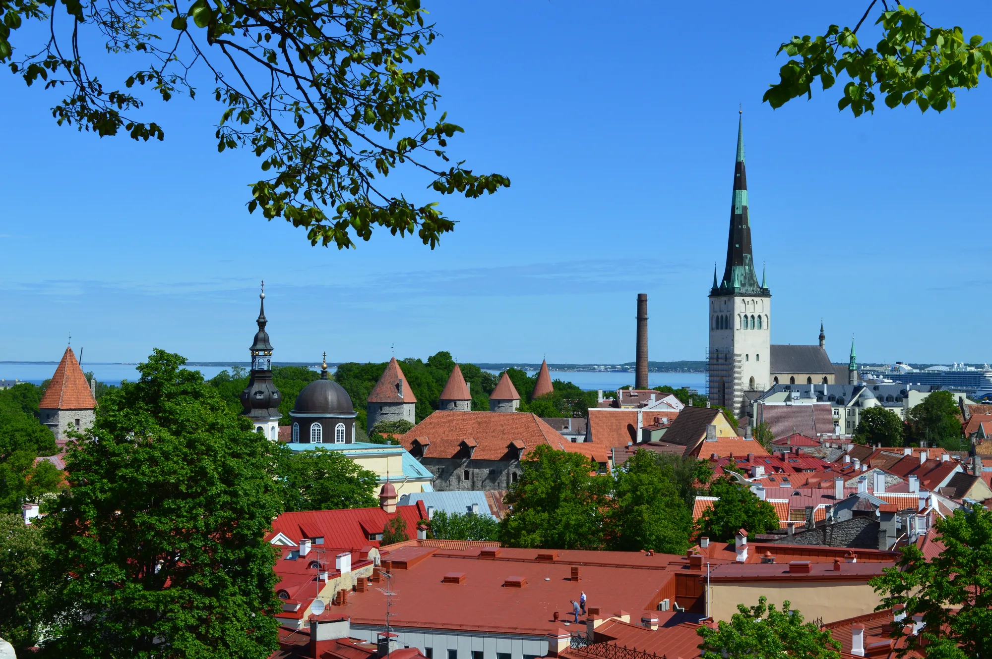 Panorama of Tallinn Old Town from the Kohtuotsa viewing platform: red-tiled roofs, St Olaf's spire, conical-roofed wall towers and the sea beyond
